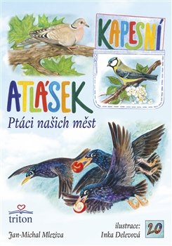 Ptáci našich měst - Jan - Michal Mleziva