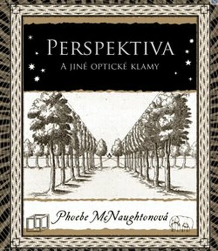 Perspektiva a jiné optické klamy - Phoebe McNaughtonová