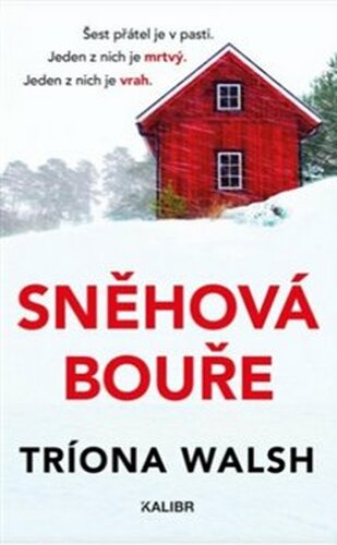 Sněhová bouře