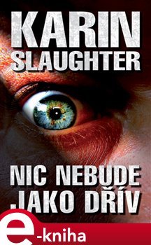 Nic nebude jako dřív - Karin Slaughter