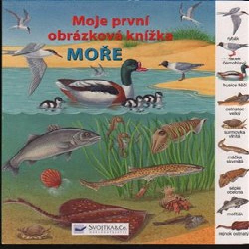 Moře – Moje první obrázková knížka