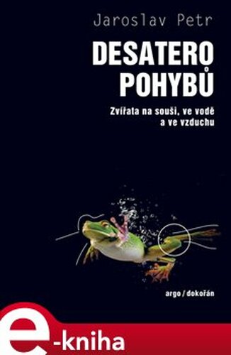 Desatero pohybů