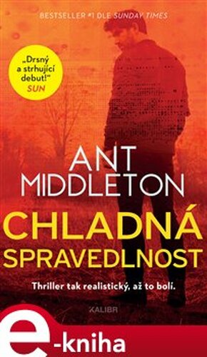Chladná spravedlnost - Ant Middleton