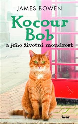 Kocour Bob a jeho životní moudrost