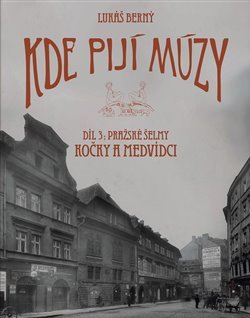 Kde pijí múzy 3 - Lukáš Berný