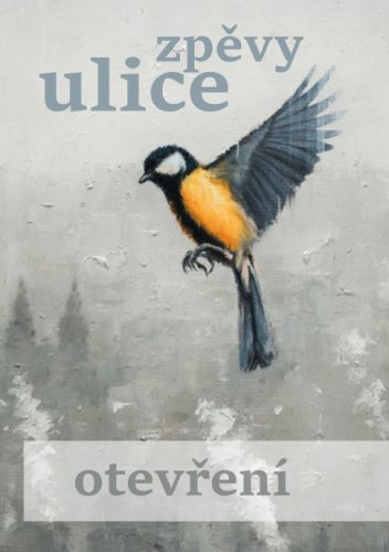 Zpěvy ulice