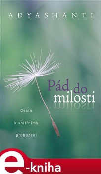 Pád do milosti - Adyshanti
