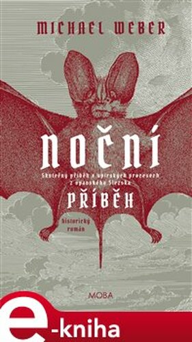 Noční příběh