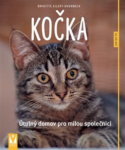 Kočka