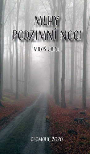 Mlhy podzimní noci