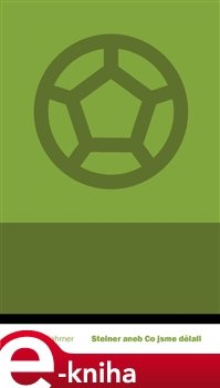 Steiner aneb Co jsme dělali - Martin Fahrner