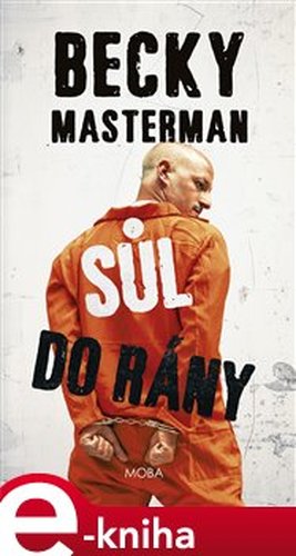 Sůl do rány - Becky Masterman