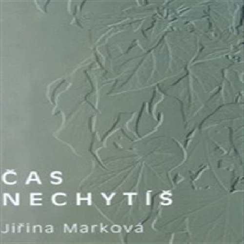 Čas nechytíš