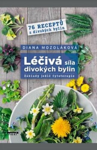 Léčivá síla divokých bylin