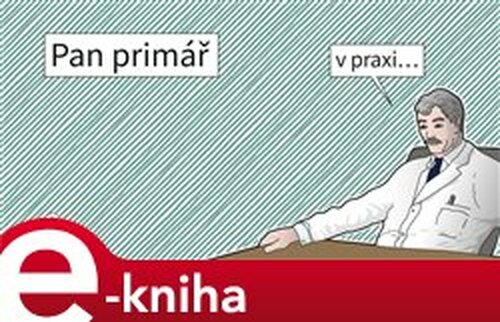 Pan Primář v praxi