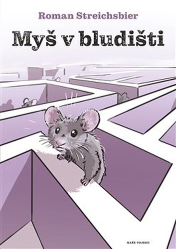 Myš v bludišti