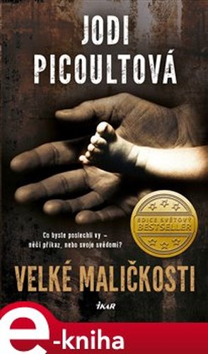 Velké maličkosti - Jodi Picoultová