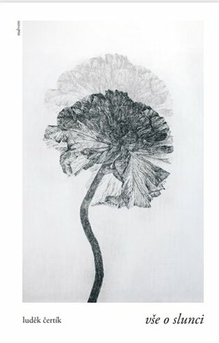 Vše o slunci