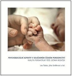 Psychosociální aspekty v současném českém porodnictví