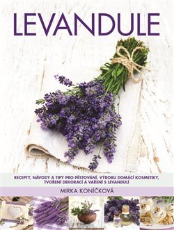 Slyším tě všude - Connie Willisová