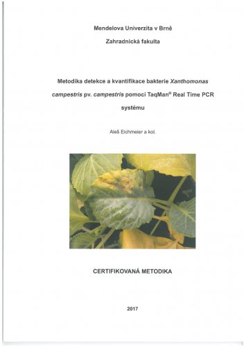 Metodika detekce a kvantifikace bakterie Xanthomonas campestris pv. campestris pomocí TaqMan® Real Time PCR systému