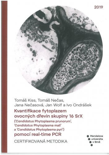 Kvantifikace fytoplazem ovocných dřevin skupiny 16SrX (‘Candidatus Phytoplasma prunorum’, ‘Candidatus Phytoplasma mali’ a ‘Candidatus Phytoplasma pyri’) pomocí real-time PCR