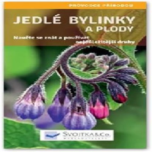 Jedlé bylinky a plody