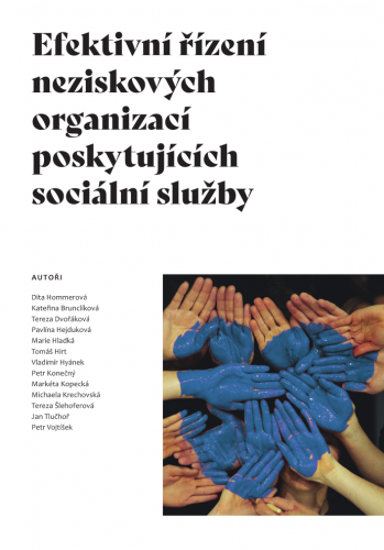 Efektivní řízení neziskových organizací poskytujících sociální služby