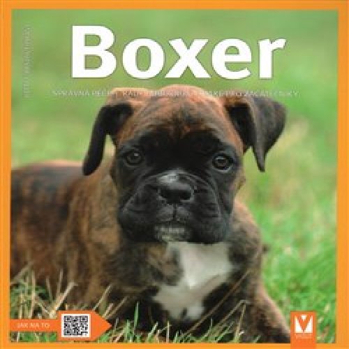 Boxer