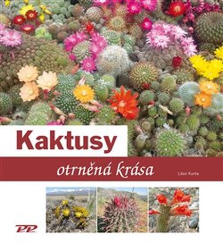 Kaktusy