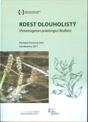 Rdest dlouholistý