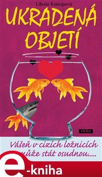 Ukradená objetí - Libuše Konopová