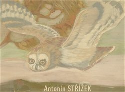 Antonín Střížek - Martin Dostál