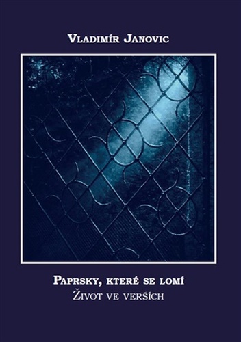 Paprsky, které se lomí.