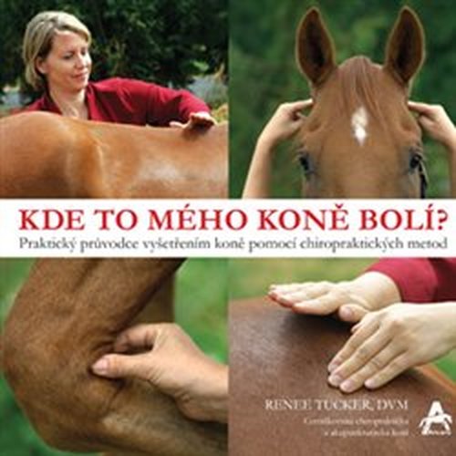 Kde to mého koně bolí? - Renee Tucker