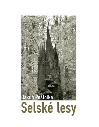 Selské lesy