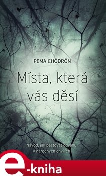 Místa, která vás děsí - Pema Chödrön