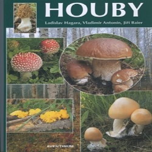 Houby