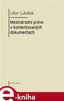 Visegrádská skupina a její vývoj v letech 1991-2004 - Libor Lukášek