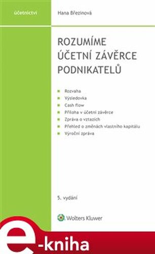 Rozumíme účetní závěrce podnikatelů - Hana Březinová