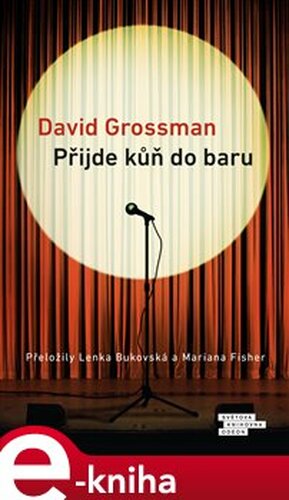 Přijde kůň do baru - David Grossman