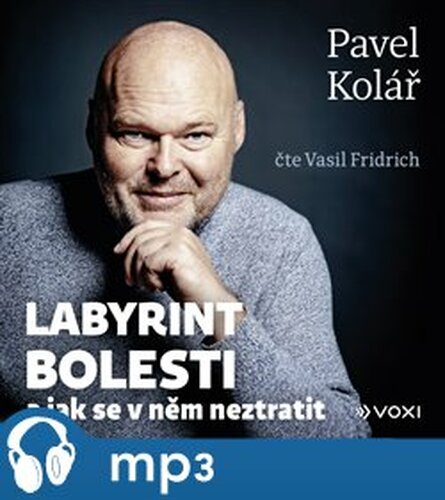 Labyrint bolesti