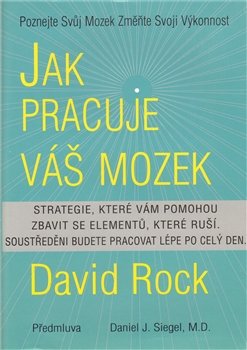 Jak pracuje váš mozek - David Rock