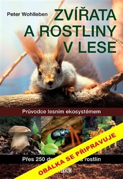 Zvířata a rostliny v lese - Peter Wohlleben