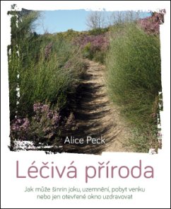 Léčivá příroda – Jak může šinrin joku, uzemnění, pobyt venku nebo jen otevřené okno uzdravovat
