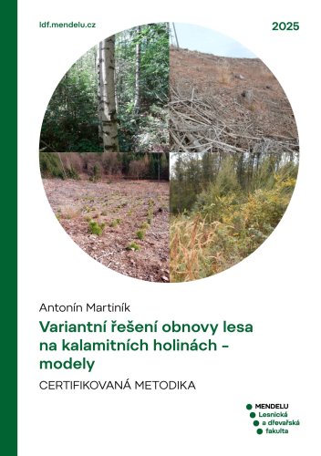 Variantní řešení obnovy lesa na kalamitních holinách - modely
