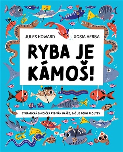 Ryba je kámoš