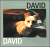 David - Jiří David