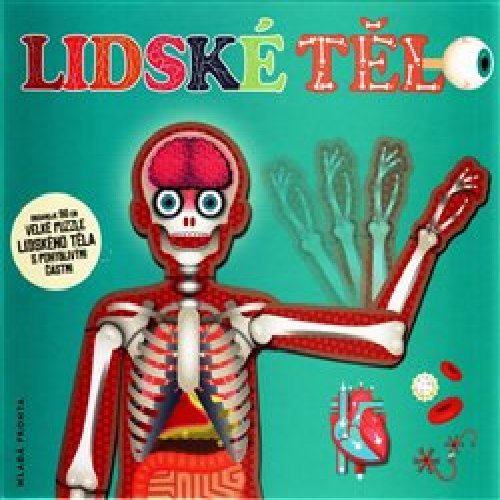 Lidské tělo