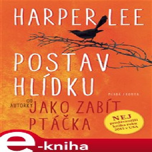 Postav hlídku